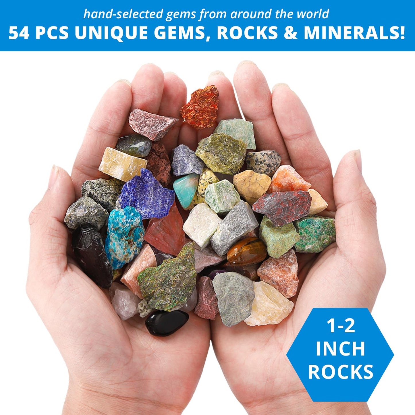 PIBEX Rock Collection Starter Kit — 54-Piece Geology Set with Cards, Guide & Display Case
