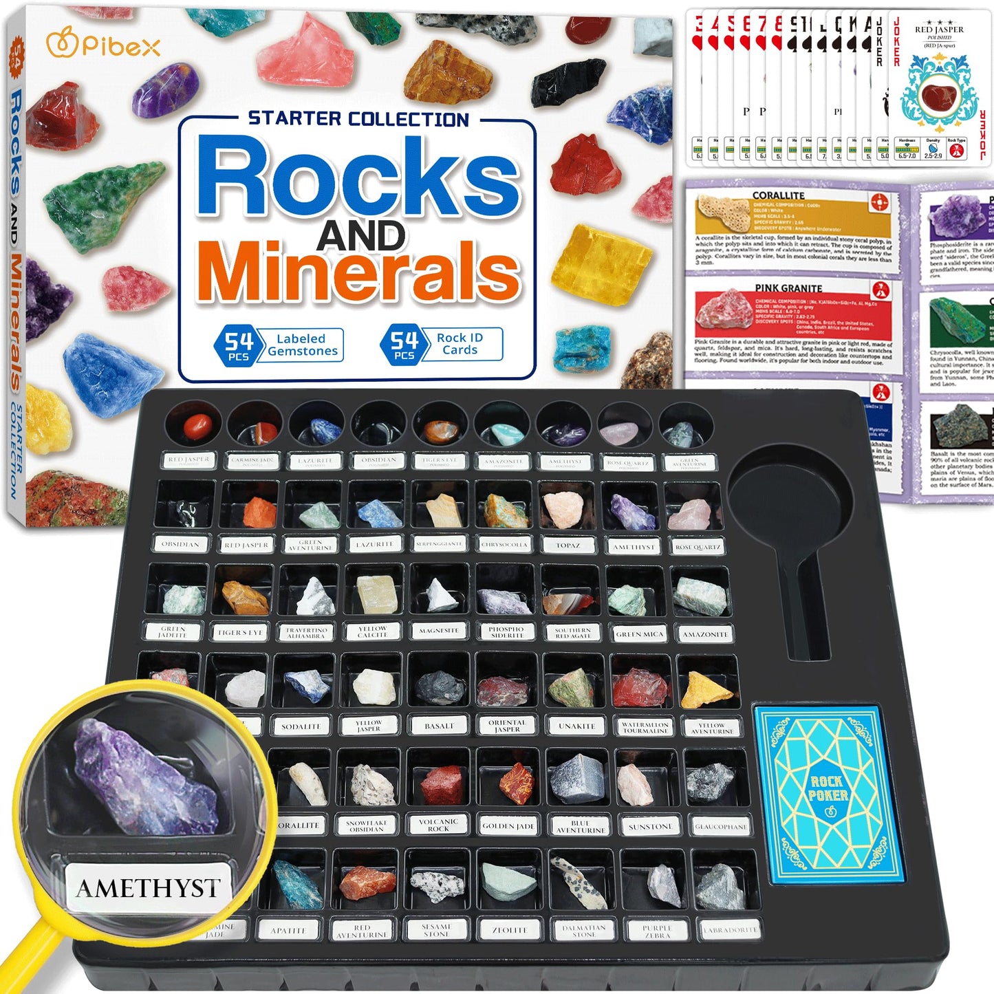 PIBEX Rock Collection Starter Kit — 54-Piece Geology Set with Cards, Guide & Display Case