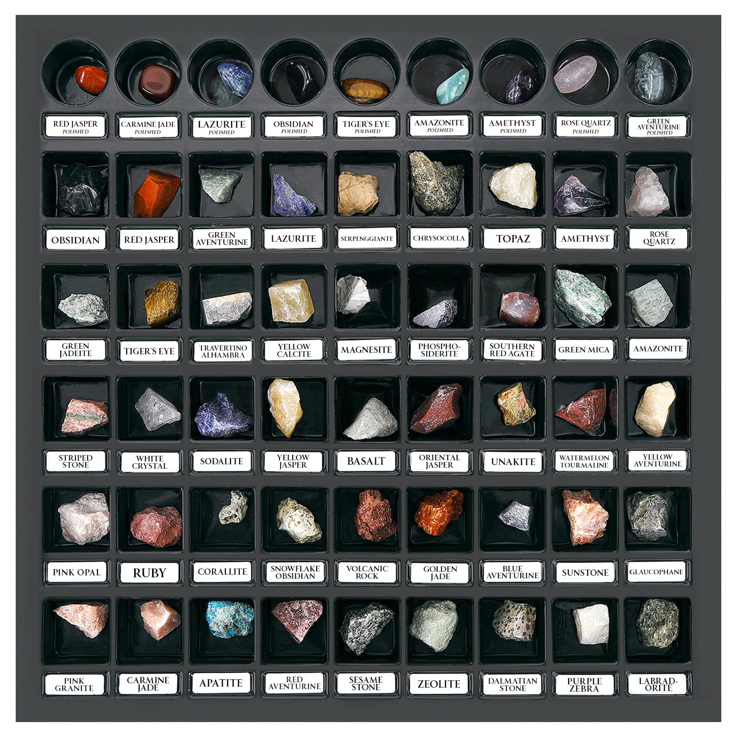 PIBEX Rock Collection Starter Kit — 54-Piece Geology Set with Cards, Guide & Display Case