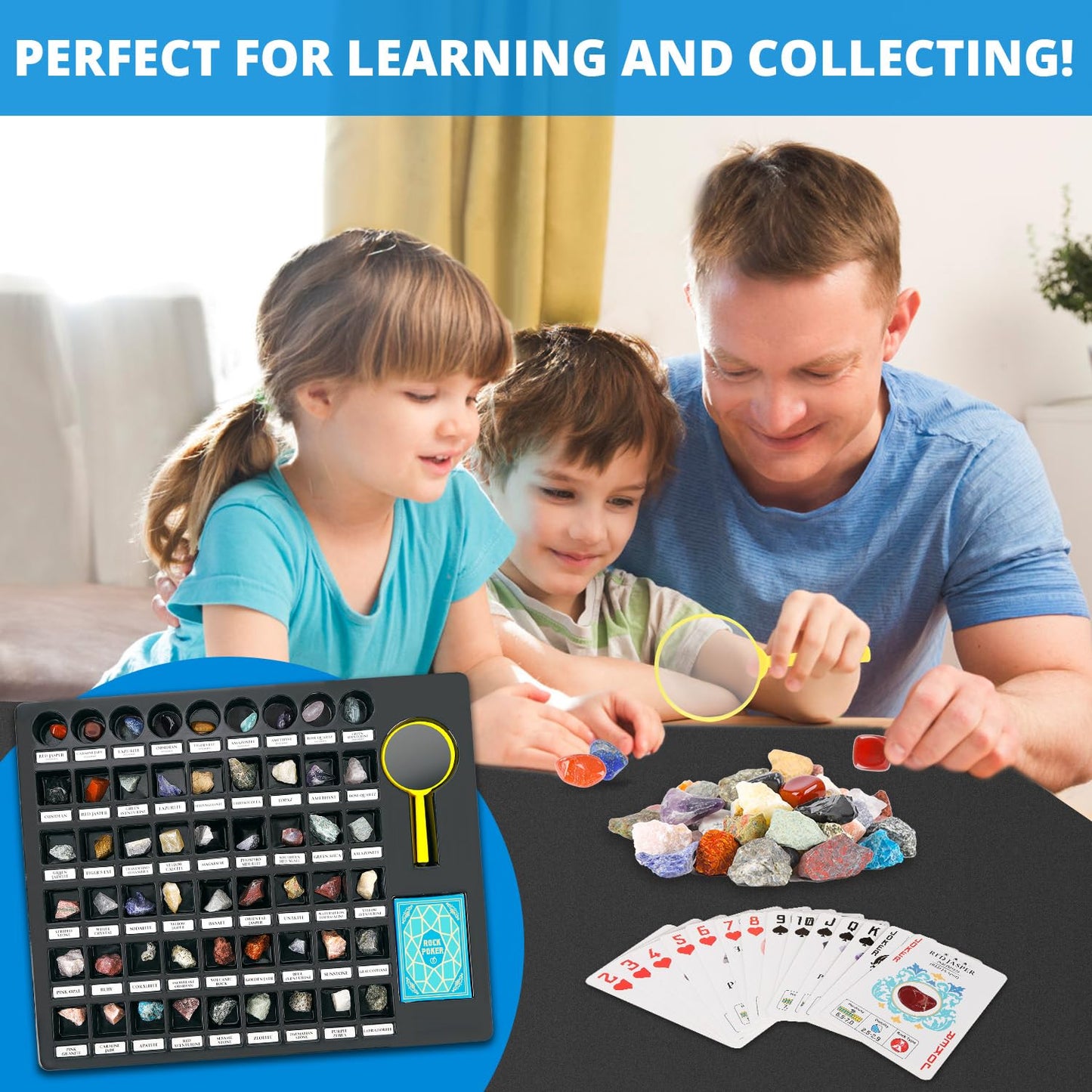 PIBEX Rock Collection Starter Kit — 54-Piece Geology Set with Cards, Guide & Display Case