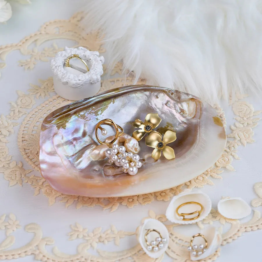 Natural Shell Jewelry Display Tray Decorative Ornament Shell Tray Nordic Style Craftsmanship Shell Pattern Jewelry Stand