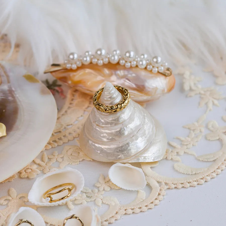 Natural Shell Jewelry Display Tray Decorative Ornament Shell Tray Nordic Style Craftsmanship Shell Pattern Jewelry Stand