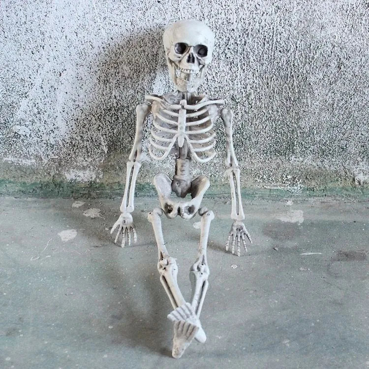 Halloween Horror Funny Skull skull skeleton Plastic Party Carnival Festival Ornaments Skeleton Ornaments