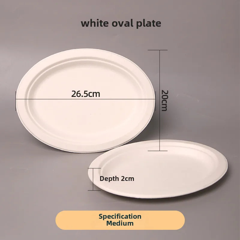 Disposable Sugarcane Pulp Paper Plate Dinner Plate Barbecue Cake Kindergarten Drawing DIY Paper Plate Thickened Pulp Plate