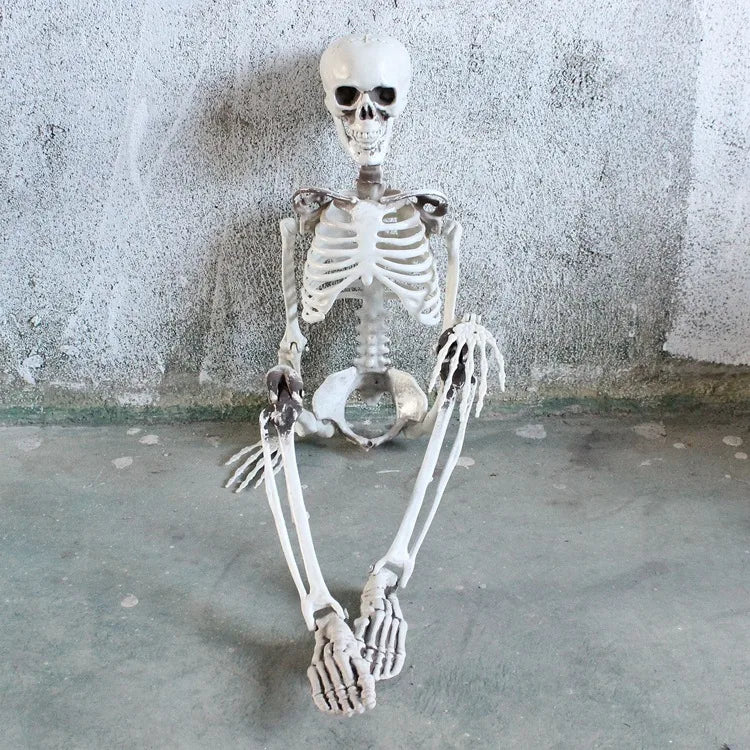 Halloween Horror Funny Skull skull skeleton Plastic Party Carnival Festival Ornaments Skeleton Ornaments