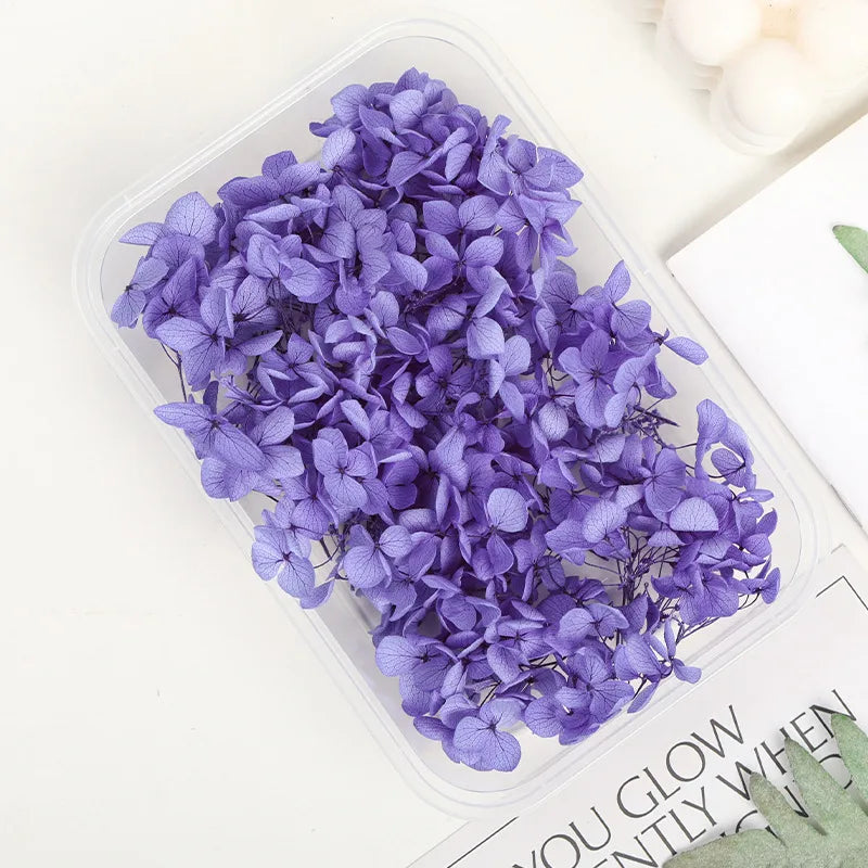 Hydrangea eternal flower dried flower diy handmade wedding shoes stickers face floral class activity photo frame violent bear petals material package