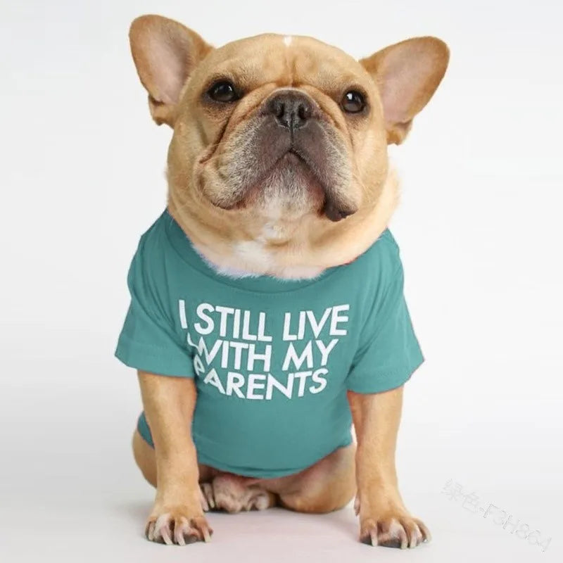 fashion cloth letter pet clothing 1 piece