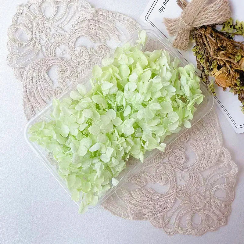Hydrangea eternal flower dried flower diy handmade wedding shoes stickers face floral class activity photo frame violent bear petals material package