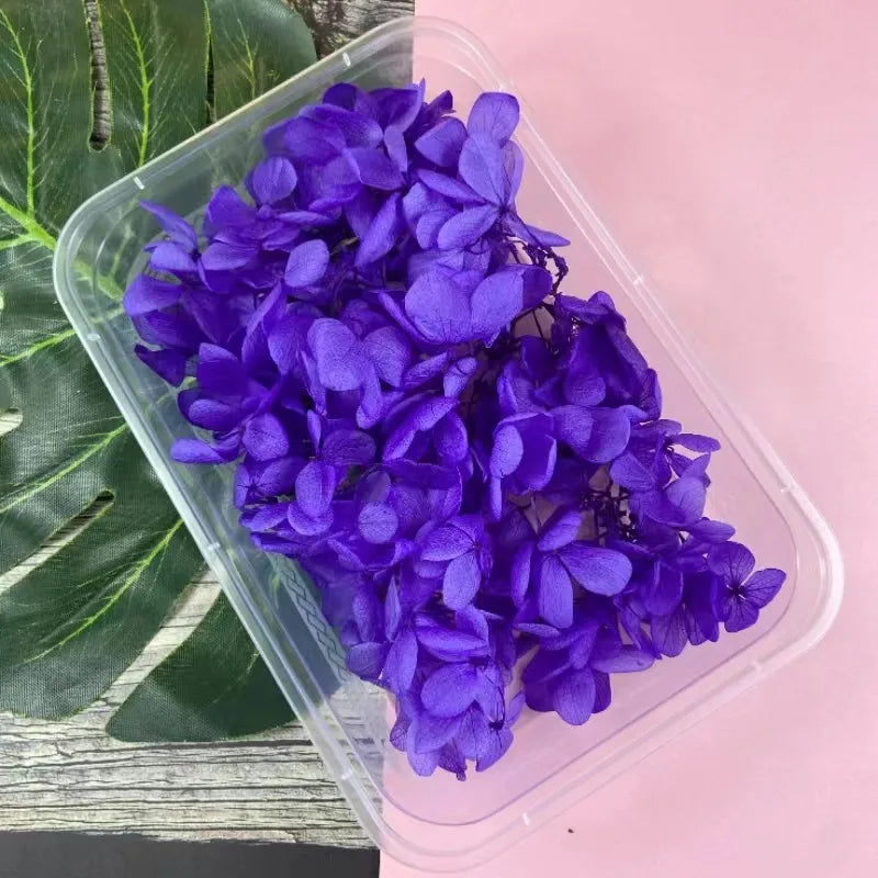 Hydrangea eternal flower dried flower diy handmade wedding shoes stickers face floral class activity photo frame violent bear petals material package