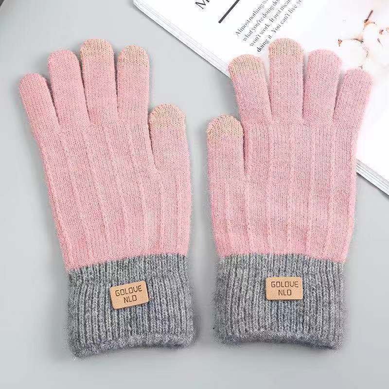 In stock autumn and winter women's knitted gloves fleece-lined thick warm cold-proof outdoor finger touch screen gloves