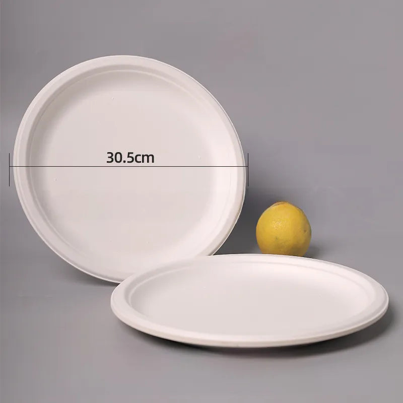 Disposable Sugarcane Pulp Paper Plate Dinner Plate Barbecue Cake Kindergarten Drawing DIY Paper Plate Thickened Pulp Plate