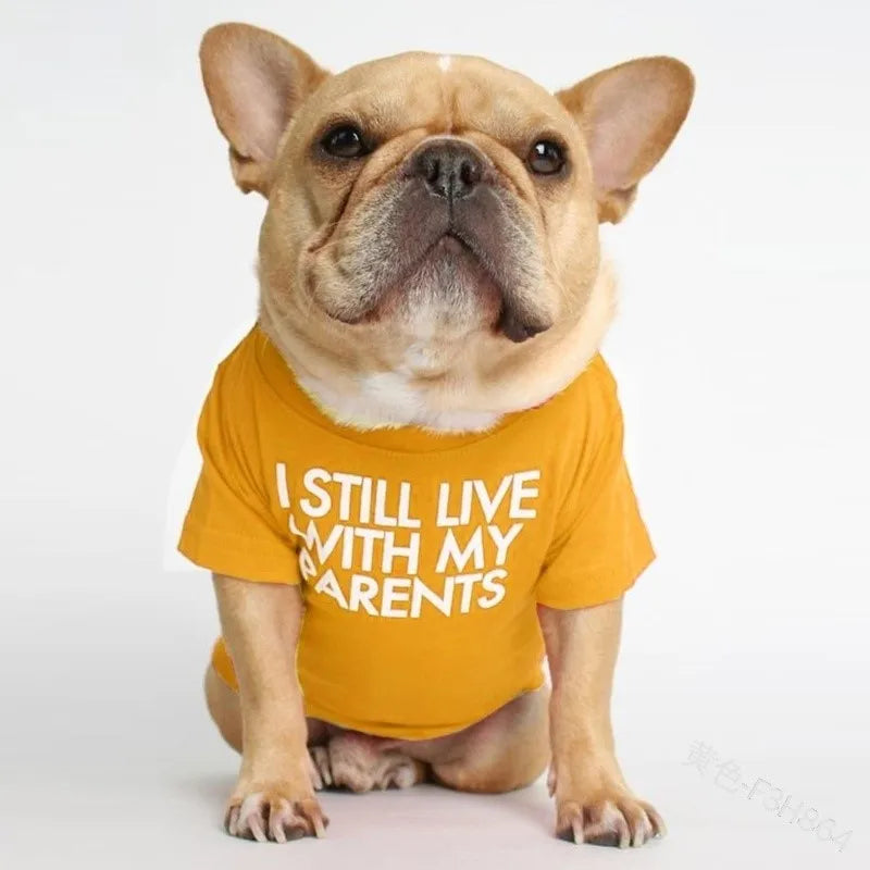 fashion cloth letter pet clothing 1 piece