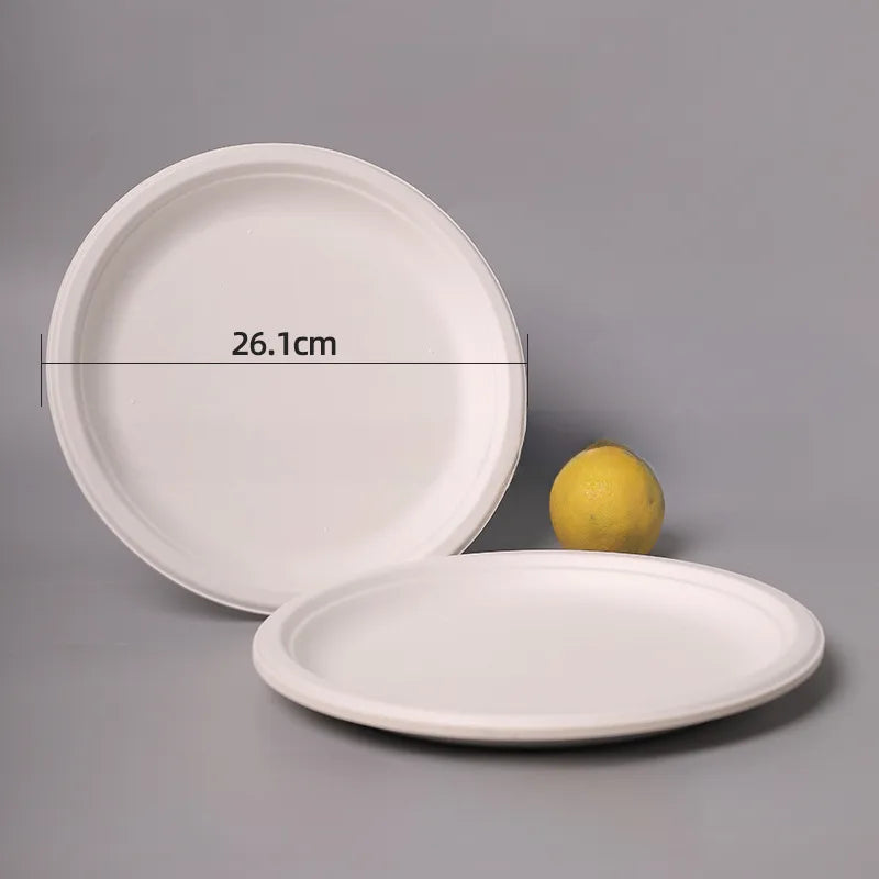 Disposable Sugarcane Pulp Paper Plate Dinner Plate Barbecue Cake Kindergarten Drawing DIY Paper Plate Thickened Pulp Plate