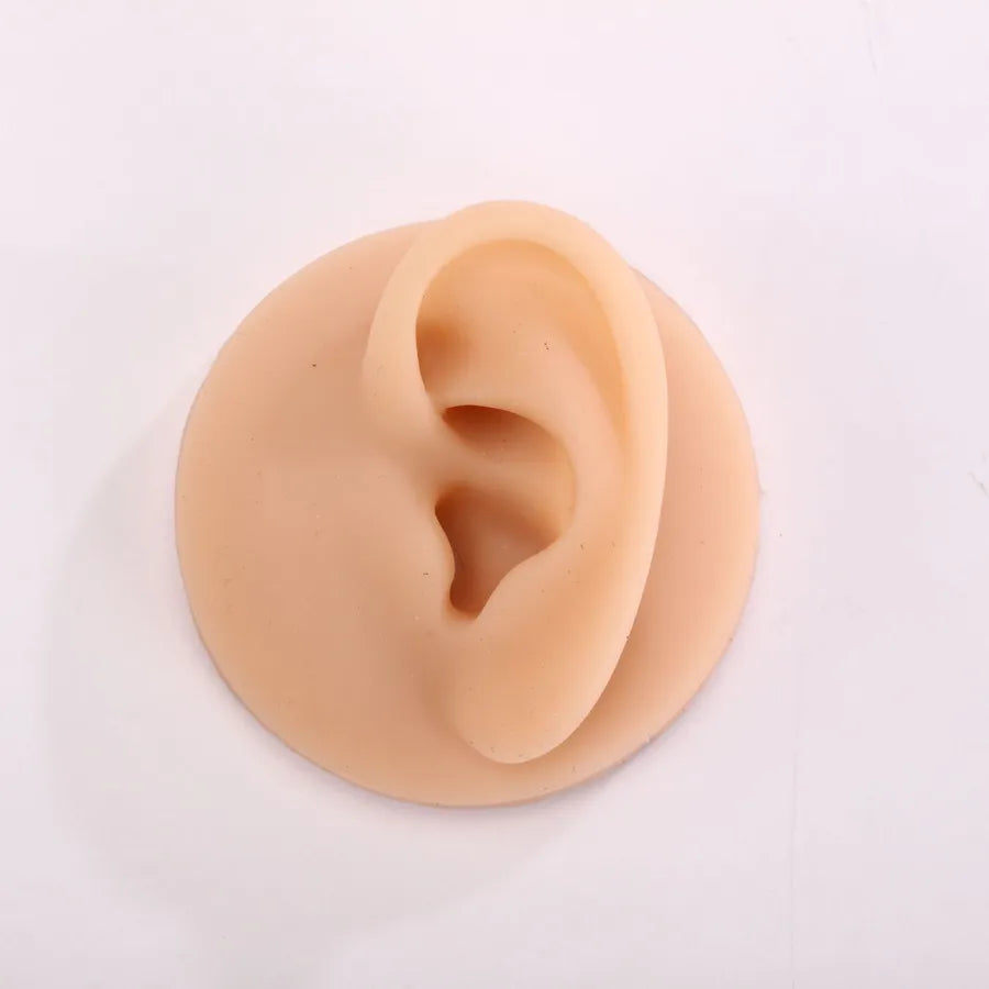 silicone simulation fake ear facial features teaching practice props nose mouth navel stud ring accessories display stand model