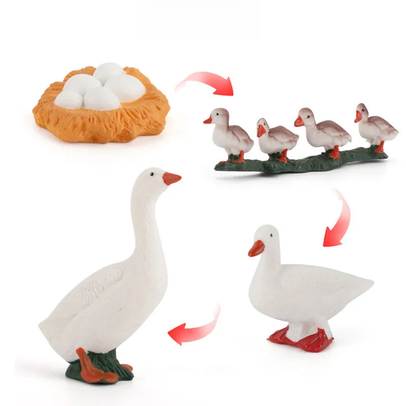simulation mini farm poultry chicken duck goose cow gold small animal miniature model sand table ornaments wholesale