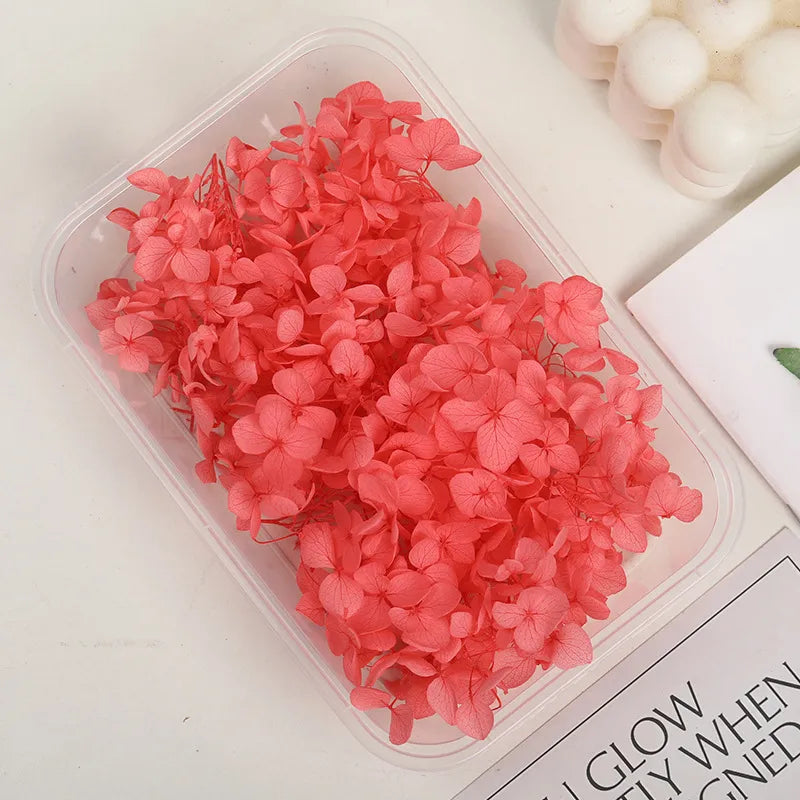 Hydrangea eternal flower dried flower diy handmade wedding shoes stickers face floral class activity photo frame violent bear petals material package