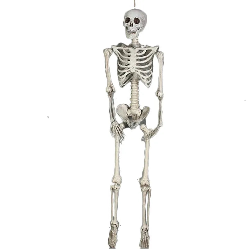 Halloween Horror Funny Skull skull skeleton Plastic Party Carnival Festival Ornaments Skeleton Ornaments
