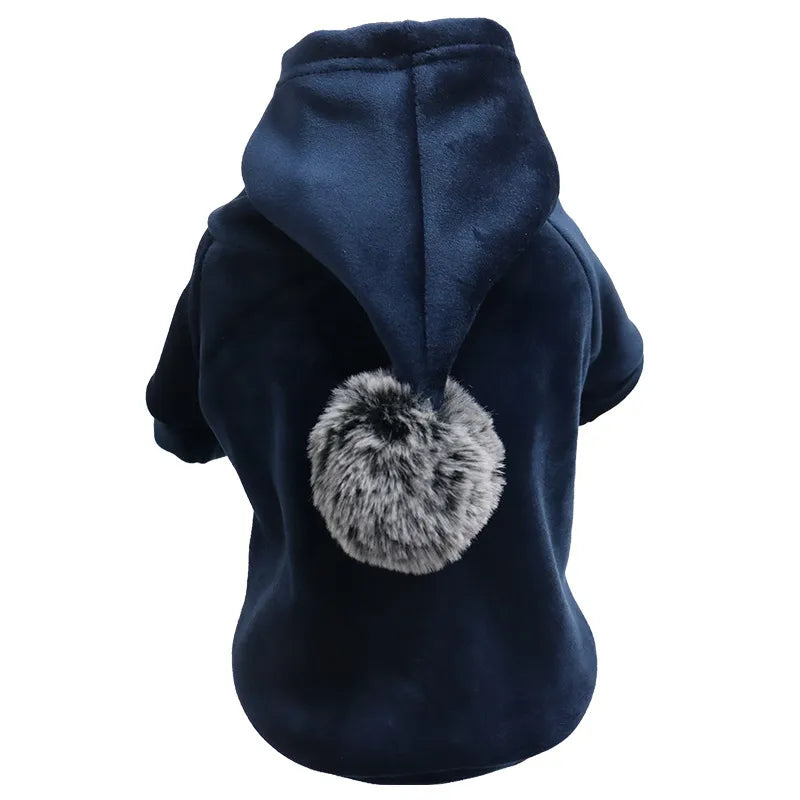casual gold velvet solid color pet clothing