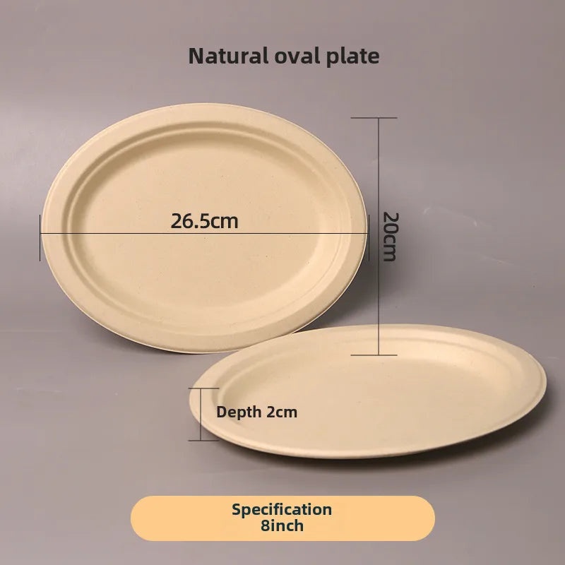 Disposable Sugarcane Pulp Paper Plate Dinner Plate Barbecue Cake Kindergarten Drawing DIY Paper Plate Thickened Pulp Plate