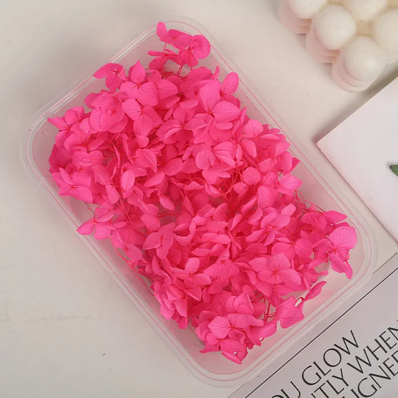 Hydrangea eternal flower dried flower diy handmade wedding shoes stickers face floral class activity photo frame violent bear petals material package