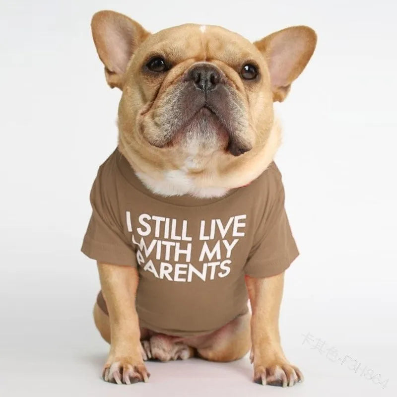 fashion cloth letter pet clothing 1 piece