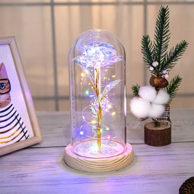 simple style classic style color block plastic glass holiday daily