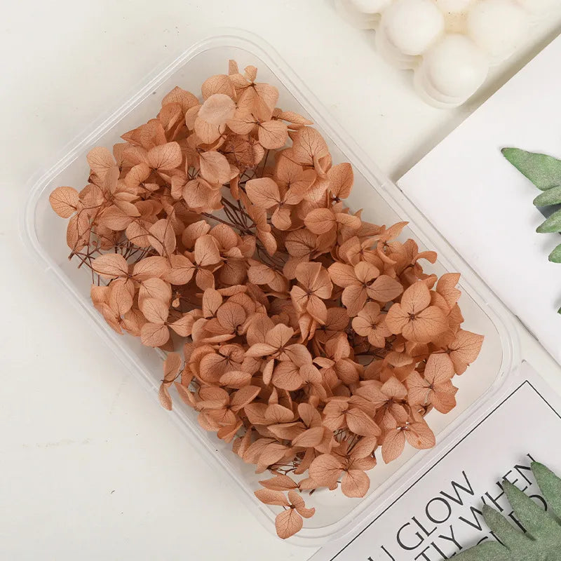 Hydrangea eternal flower dried flower diy handmade wedding shoes stickers face floral class activity photo frame violent bear petals material package