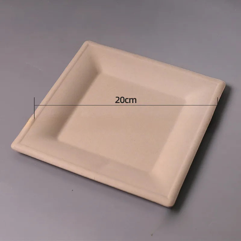 Disposable Sugarcane Pulp Paper Plate Dinner Plate Barbecue Cake Kindergarten Drawing DIY Paper Plate Thickened Pulp Plate