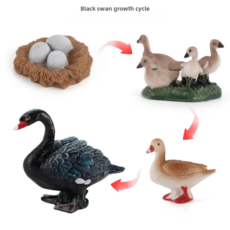 simulation mini farm poultry chicken duck goose cow gold small animal miniature model sand table ornaments wholesale