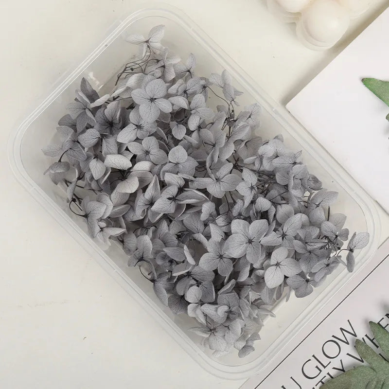 Hydrangea eternal flower dried flower diy handmade wedding shoes stickers face floral class activity photo frame violent bear petals material package