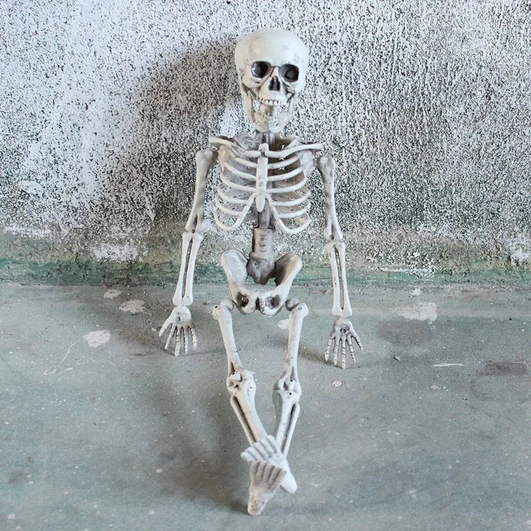 Halloween Horror Funny Skull skull skeleton Plastic Party Carnival Festival Ornaments Skeleton Ornaments