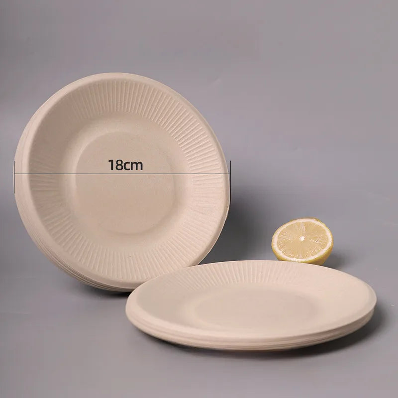 Disposable Sugarcane Pulp Paper Plate Dinner Plate Barbecue Cake Kindergarten Drawing DIY Paper Plate Thickened Pulp Plate