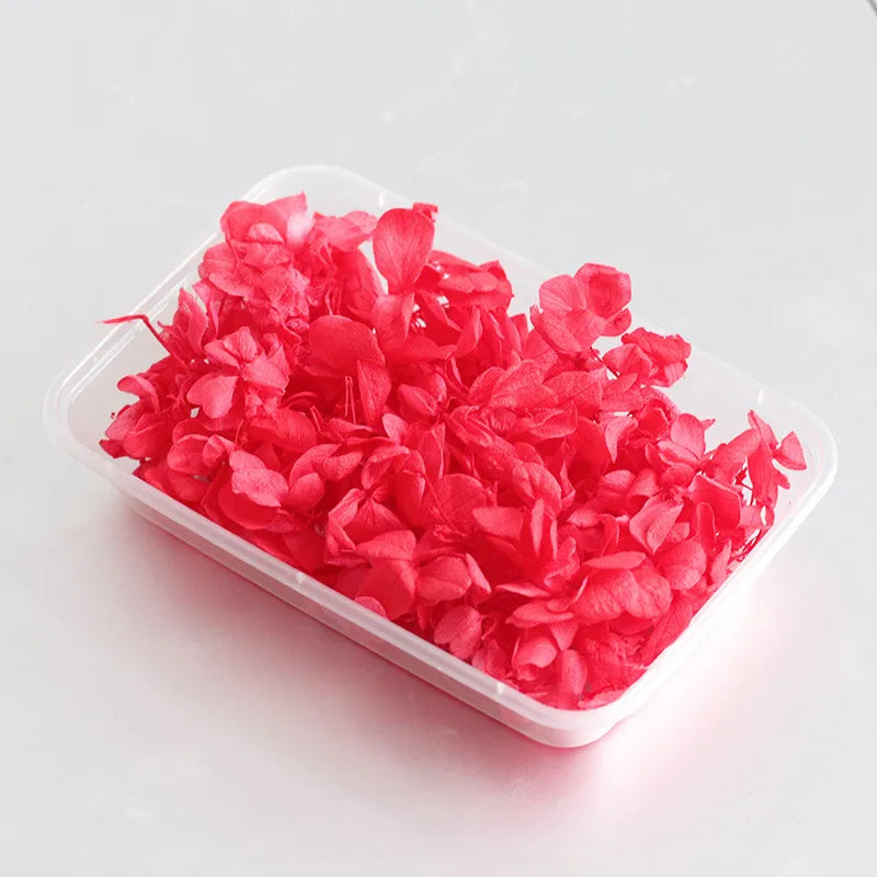 Hydrangea eternal flower dried flower diy handmade wedding shoes stickers face floral class activity photo frame violent bear petals material package