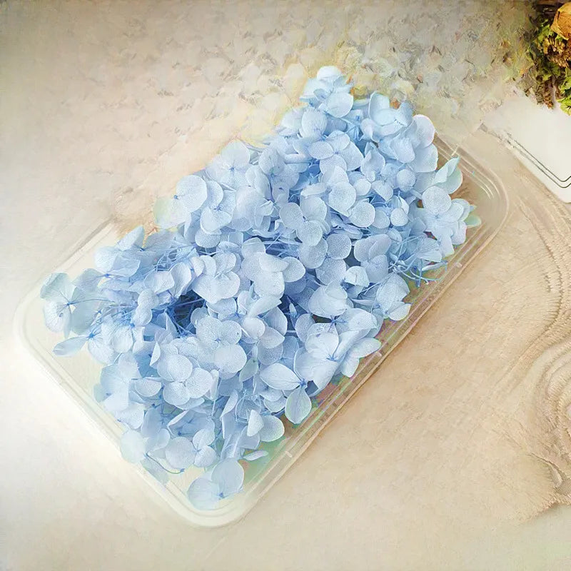 Hydrangea eternal flower dried flower diy handmade wedding shoes stickers face floral class activity photo frame violent bear petals material package