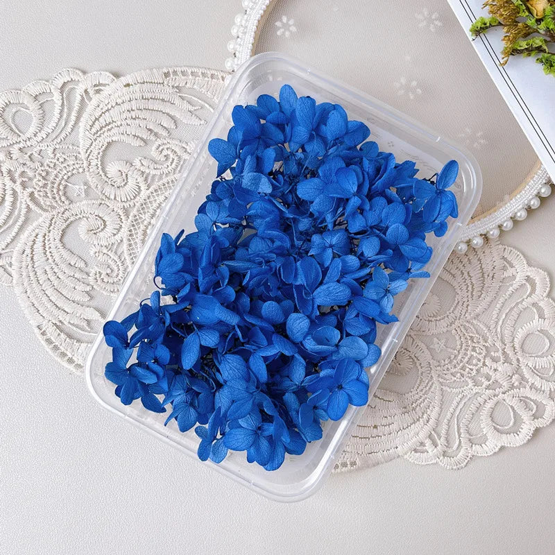 Hydrangea eternal flower dried flower diy handmade wedding shoes stickers face floral class activity photo frame violent bear petals material package