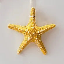 Marine Style Starfish Resin pendant Wall Art