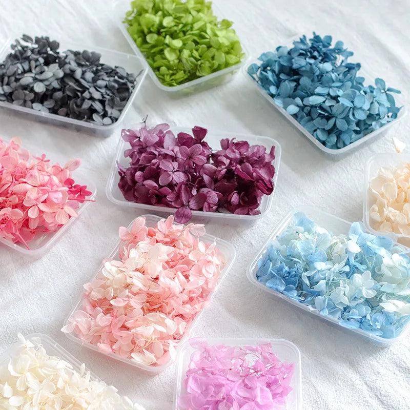 Hydrangea eternal flower dried flower diy handmade wedding shoes stickers face floral class activity photo frame violent bear petals material package