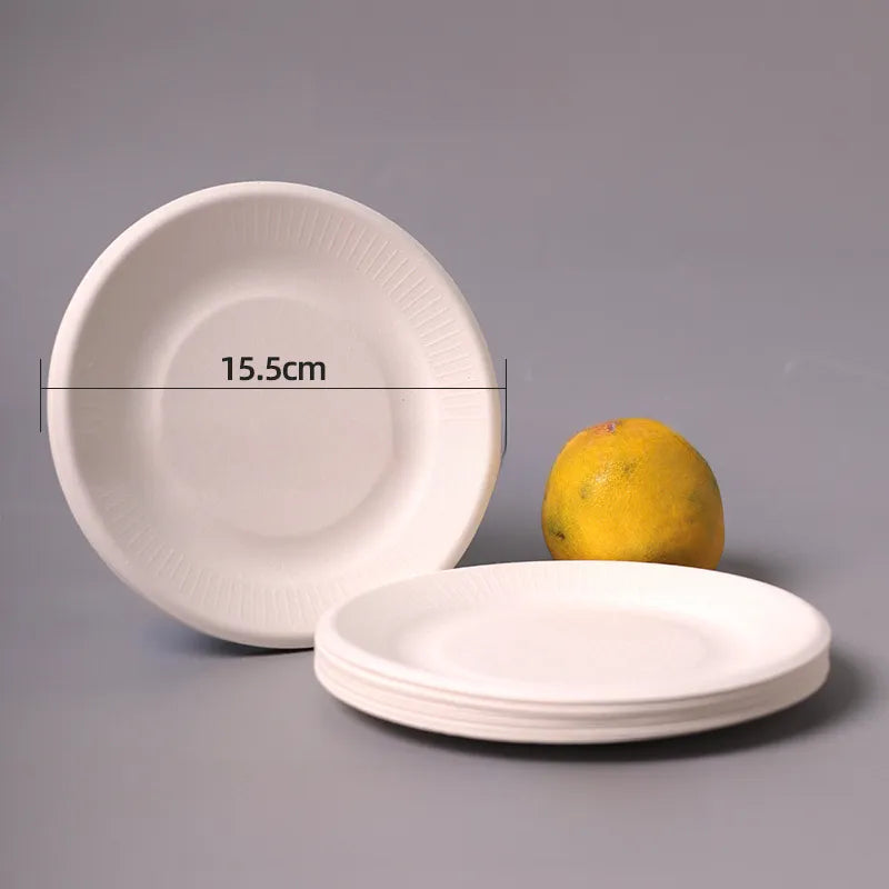 Disposable Sugarcane Pulp Paper Plate Dinner Plate Barbecue Cake Kindergarten Drawing DIY Paper Plate Thickened Pulp Plate