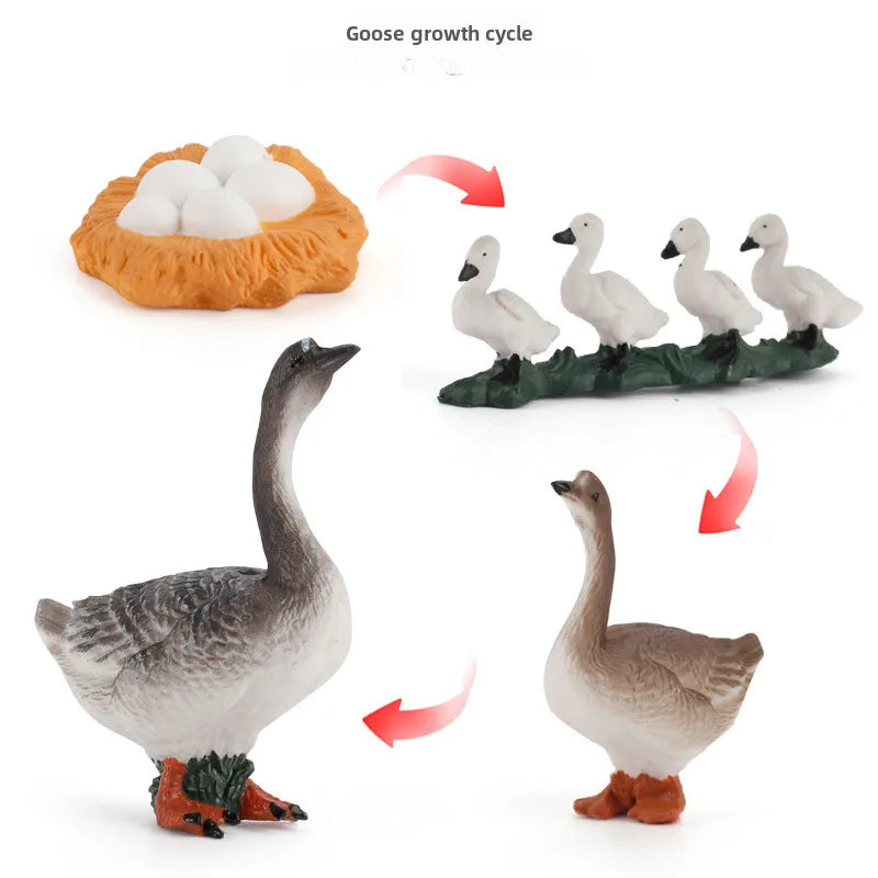 simulation mini farm poultry chicken duck goose cow gold small animal miniature model sand table ornaments wholesale