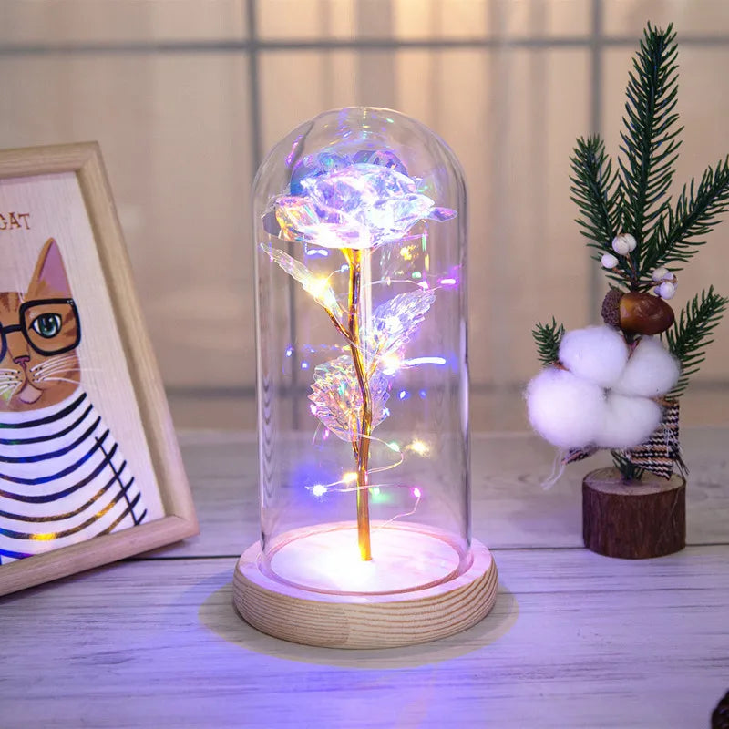 simple style classic style color block plastic glass holiday daily