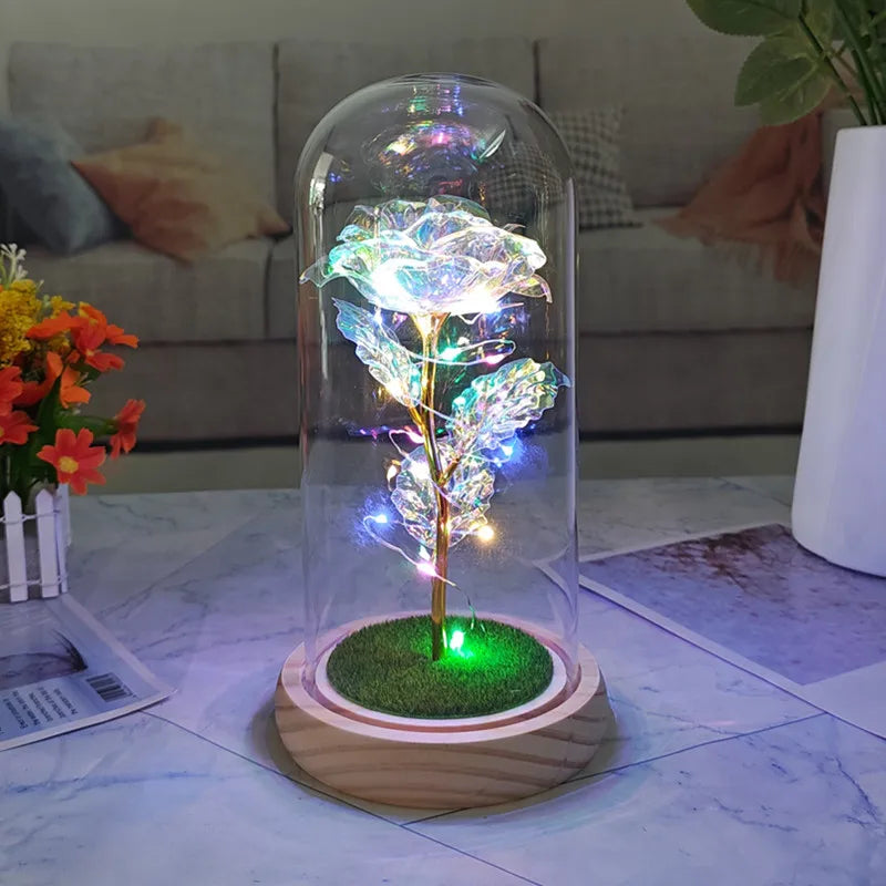 simple style classic style color block plastic glass holiday daily