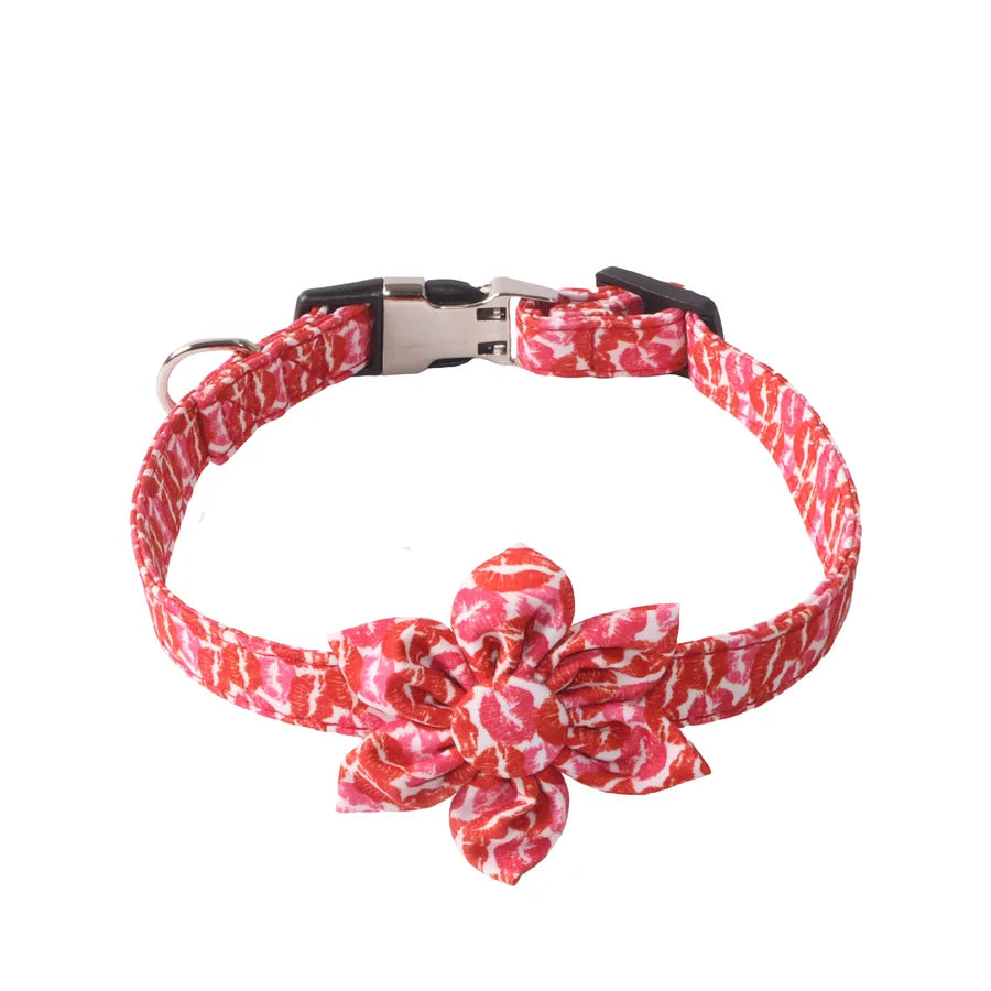 Simple Style Cloth Color Block Pet Collar