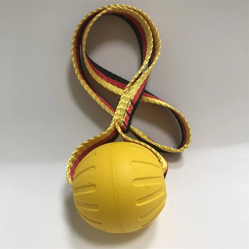 Simple Style Classic Style EVA Color Block Pet Toys