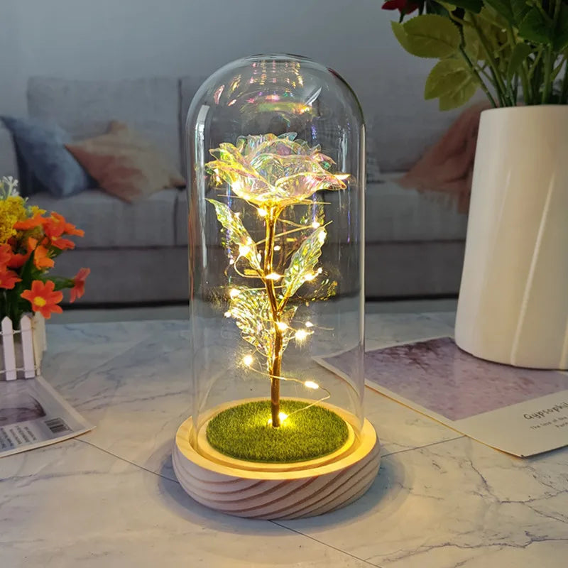 simple style classic style color block plastic glass holiday daily
