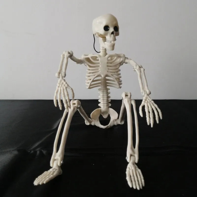 Halloween Horror Funny Skull skull skeleton Plastic Party Carnival Festival Ornaments Skeleton Ornaments