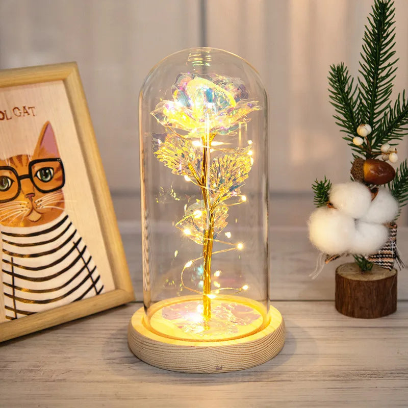 simple style classic style color block plastic glass holiday daily