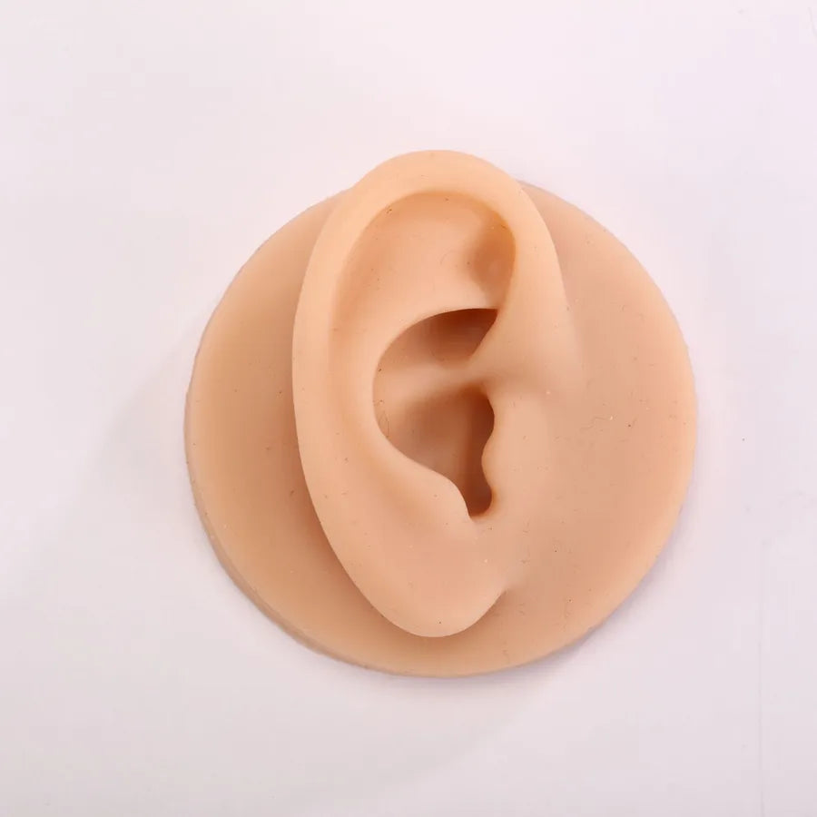 silicone simulation fake ear facial features teaching practice props nose mouth navel stud ring accessories display stand model