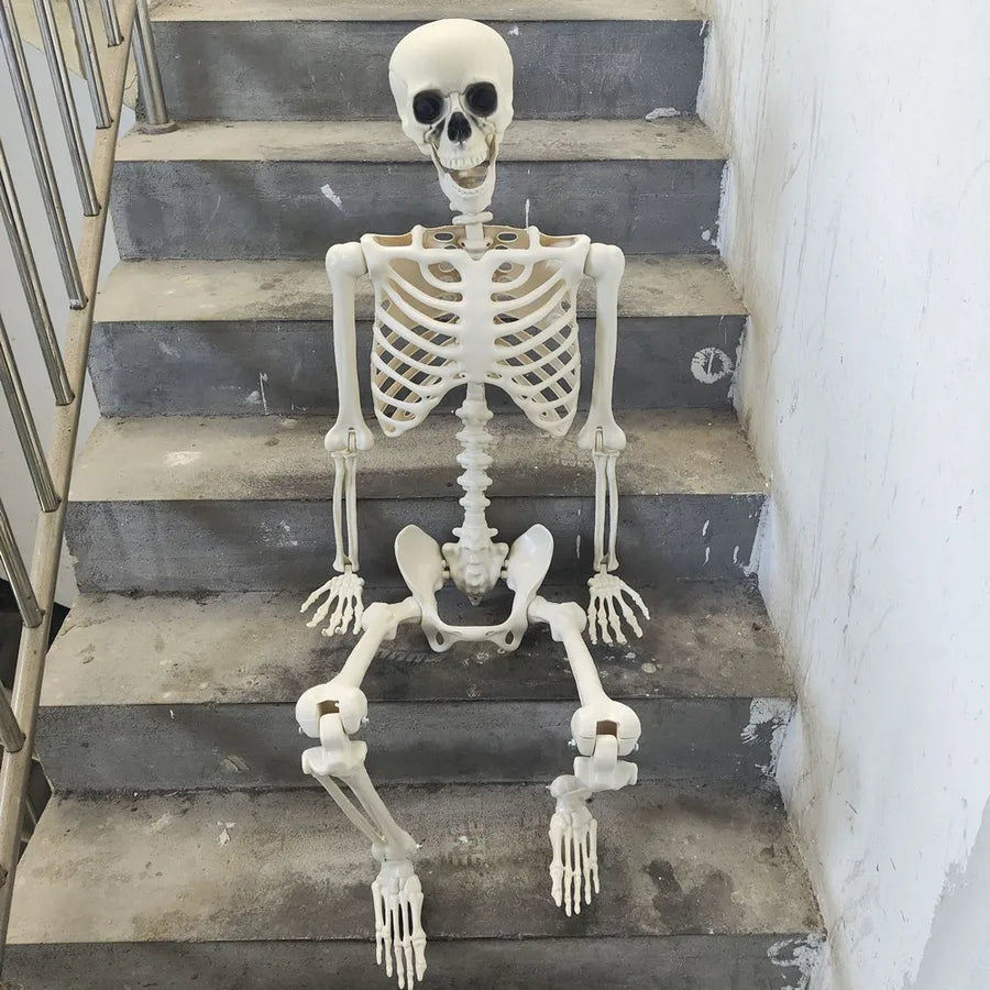 Halloween Horror Funny Skull skull skeleton Plastic Party Carnival Festival Ornaments Skeleton Ornaments
