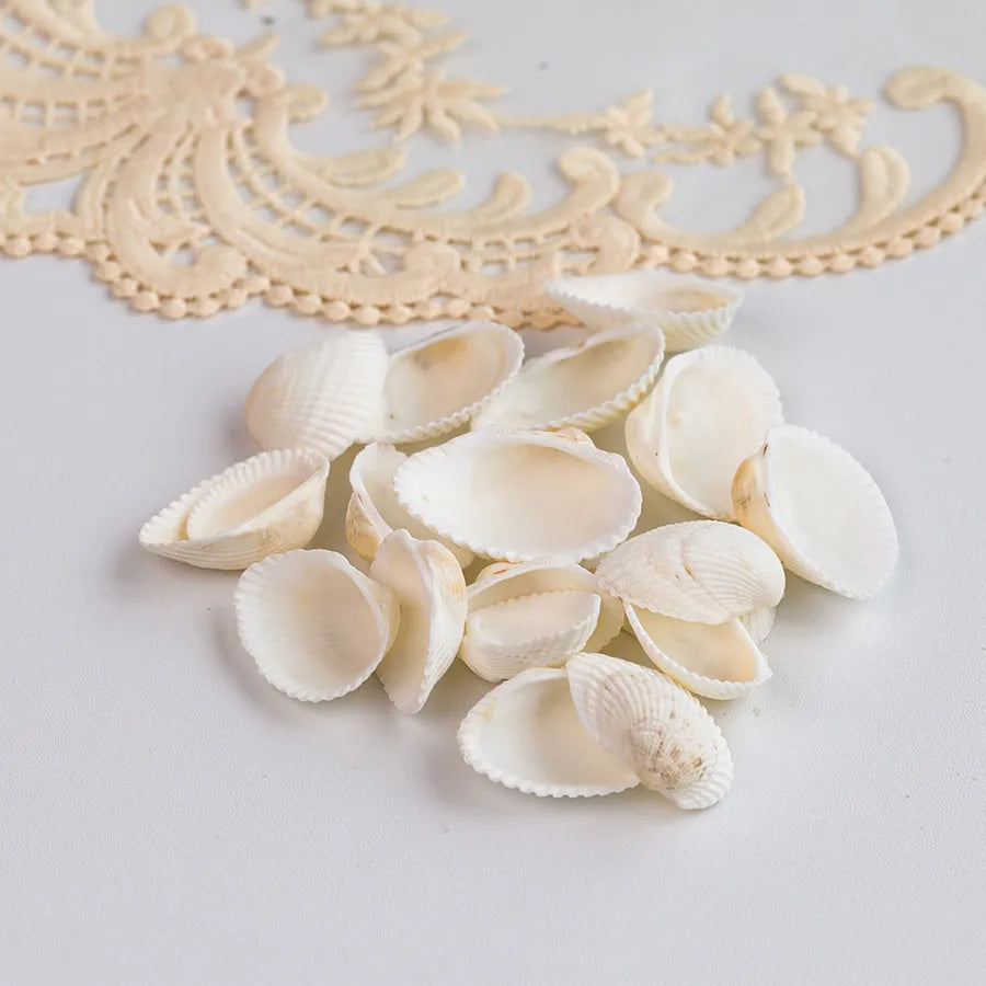 Natural Shell Jewelry Display Tray Decorative Ornament Shell Tray Nordic Style Craftsmanship Shell Pattern Jewelry Stand