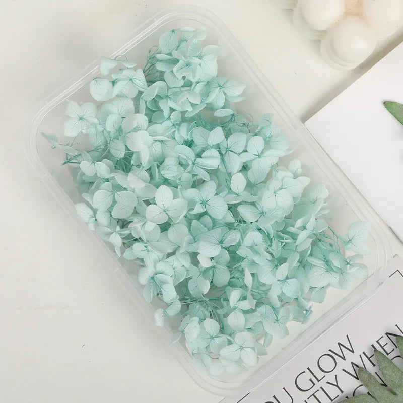Hydrangea eternal flower dried flower diy handmade wedding shoes stickers face floral class activity photo frame violent bear petals material package